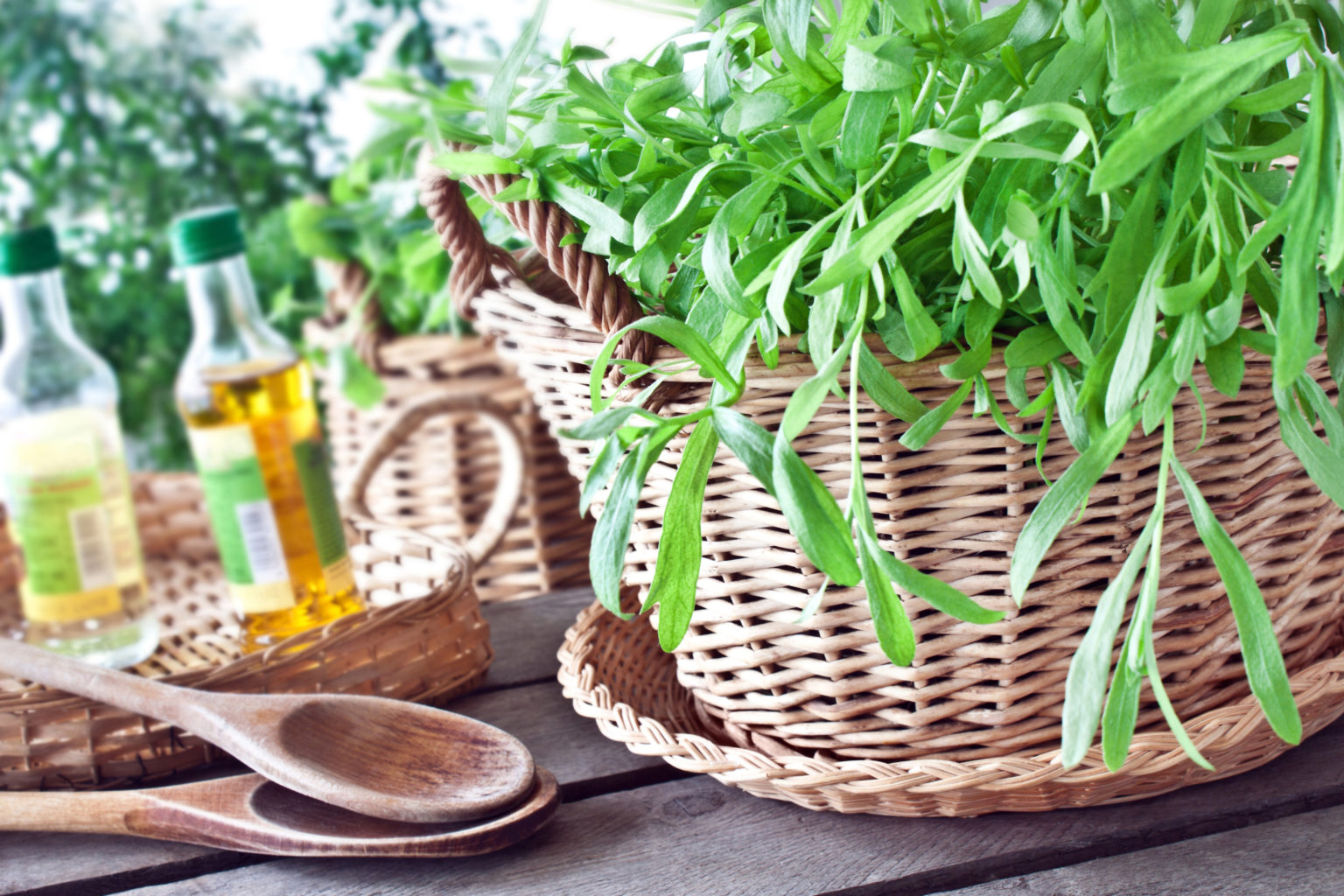Tarragon Dressing with Salad Kidney Community Kitchen