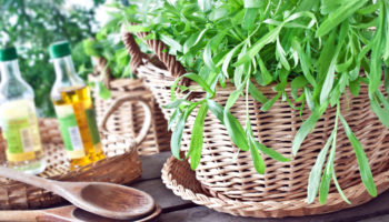 Tarragon Dressing with Salad
