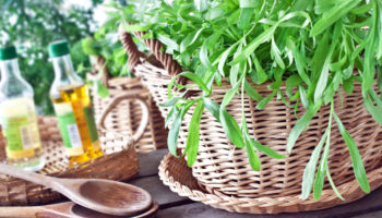 Tarragon Dressing with Salad