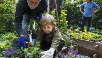 Jardinage et marchés agricole pour les régimes alimentaires faibles en potassium