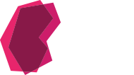 The Kidney Foundation