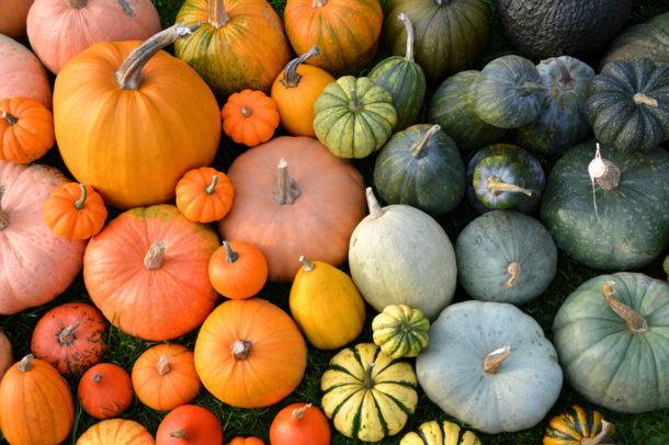 a photo of various types of pumpkin and squash