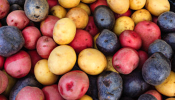 Pommes de terre à faible teneur en potassium