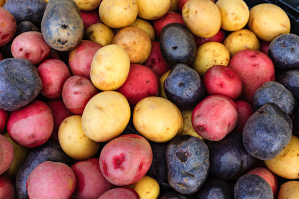 a picture of a variety of different colored potatoes, uncooked and unpeeled