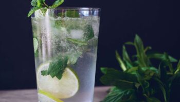 Lime and Mint Soda