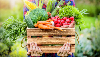 Pleins feux sur les fruits et légumes de saison