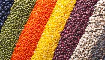 Post-Transplant Nutrition – The Pulse on Pulses