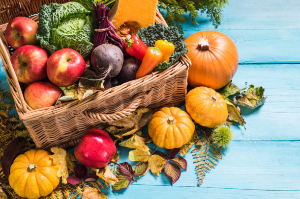 Local harvest produce in autumnal colors: pumpkins, apples, cabbages and autumn leaves surrounding a basket of produce