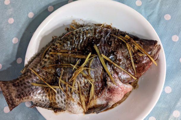 A whole Tilapia fish served on a plate and garnished with green onion