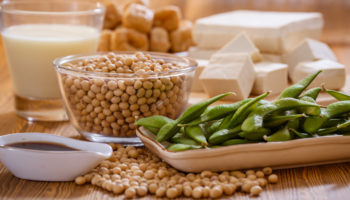 Soy vs. Animal: Which Protein Should I Choose for My kidneys? 