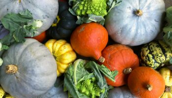 Choix d’aliments festifs et bons pour les reins pour l’automne 