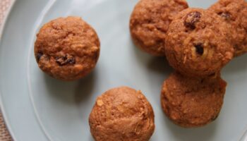 Apple Cranberry Mini Muffins