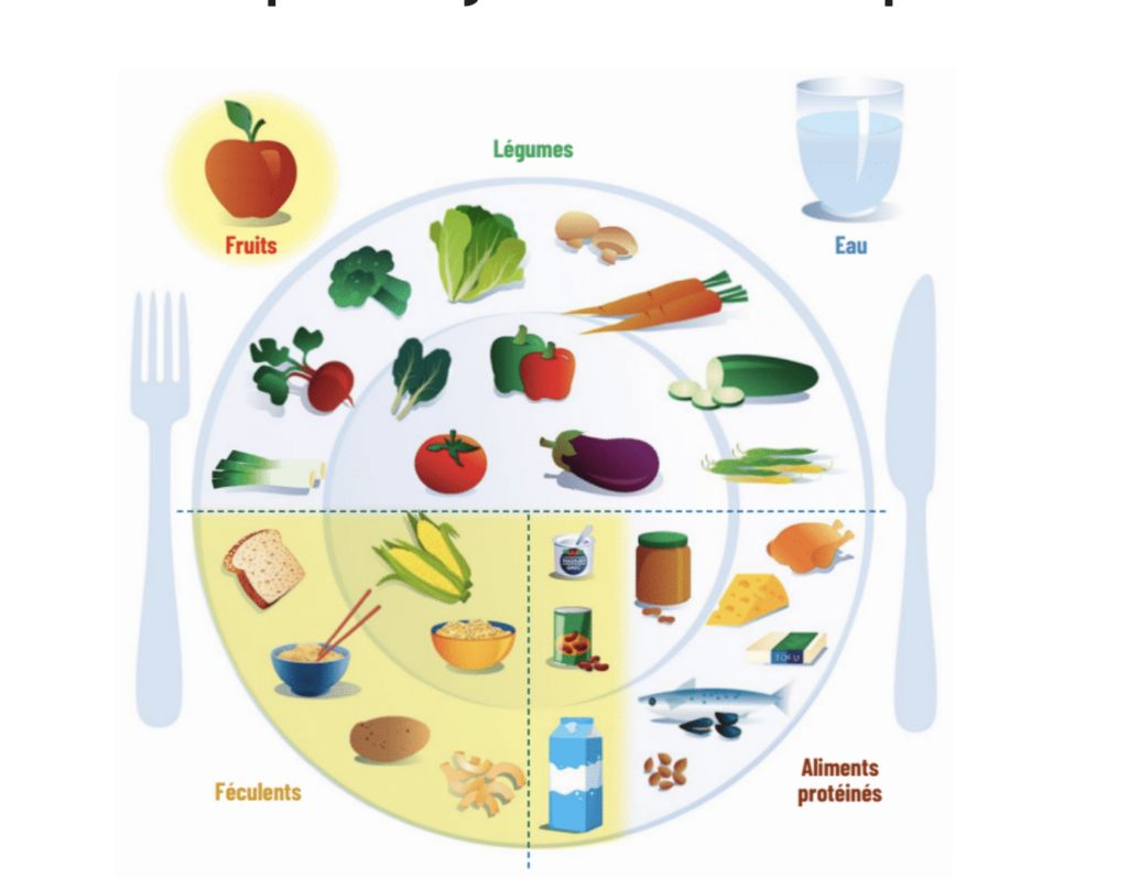 Schéma d’une assiette équilibrée montrant fruits, légumes, féculents, aliments protéinés et eau.