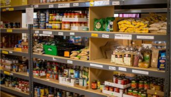 Concilier le recours aux banques alimentaires lorsqu’on suit un régime adapté aux reins : conseils pratiques pour les personnes atteintes d’une MRC 